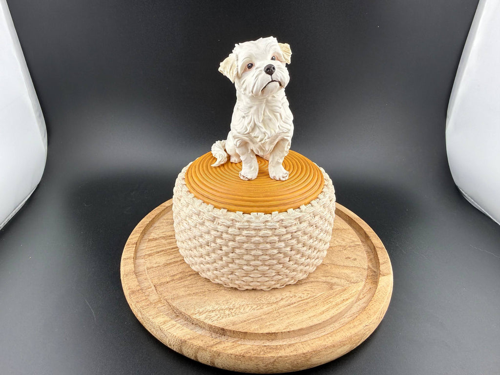 Maltese dog on the puff