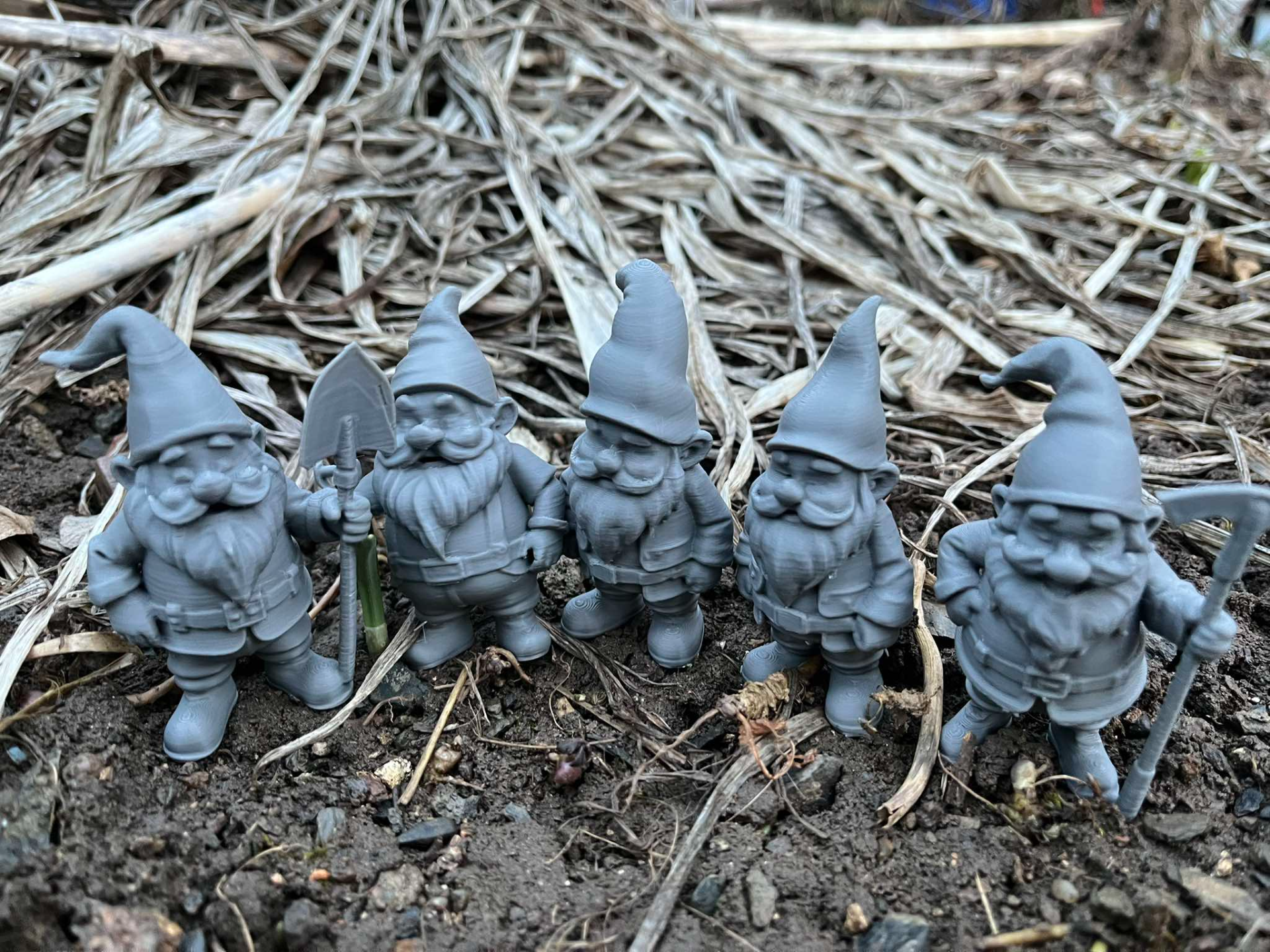 Hardworking dwarfs, gnomes for the garden