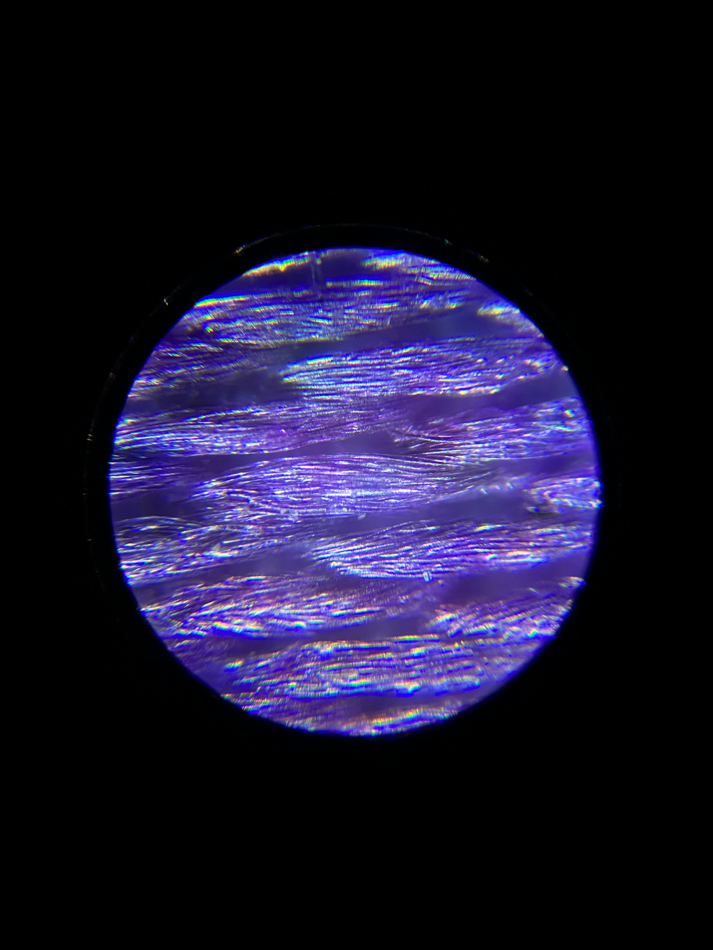 Microscope Phone Camera Adapter