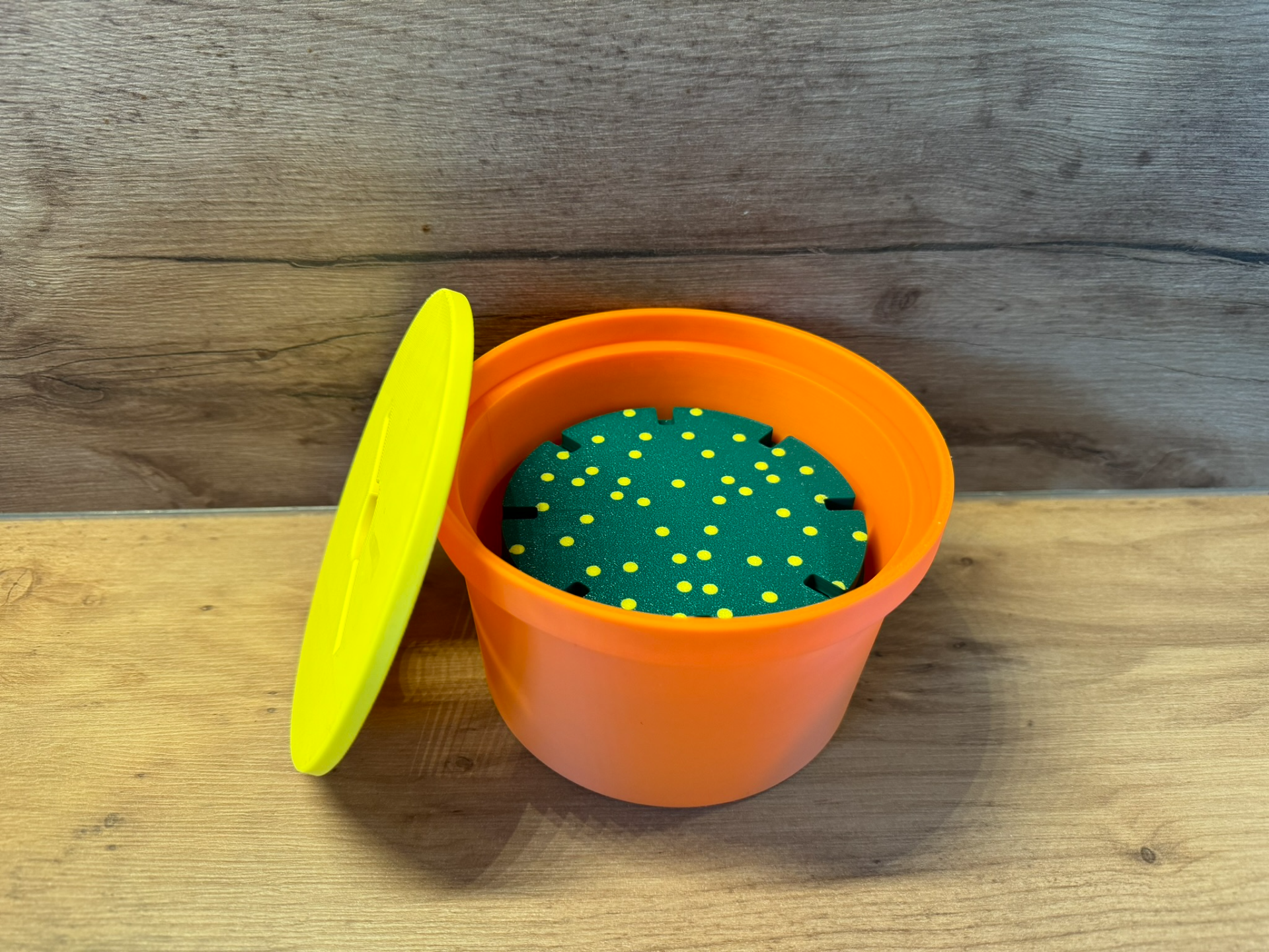 Cactus coaster/toy