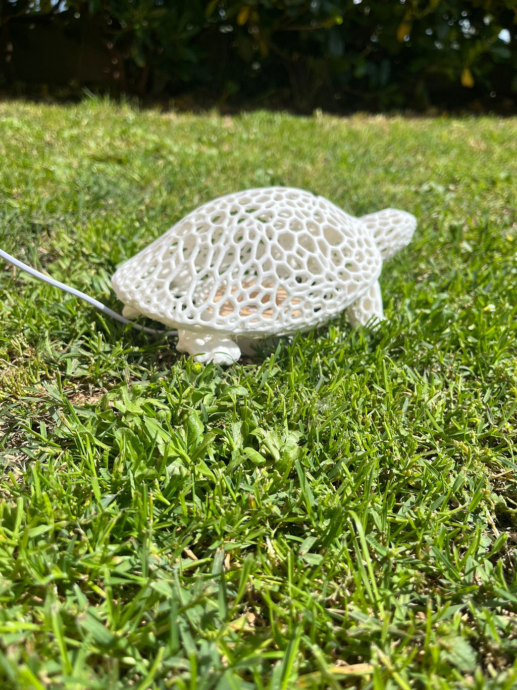 Lampada a forma di tartaruga