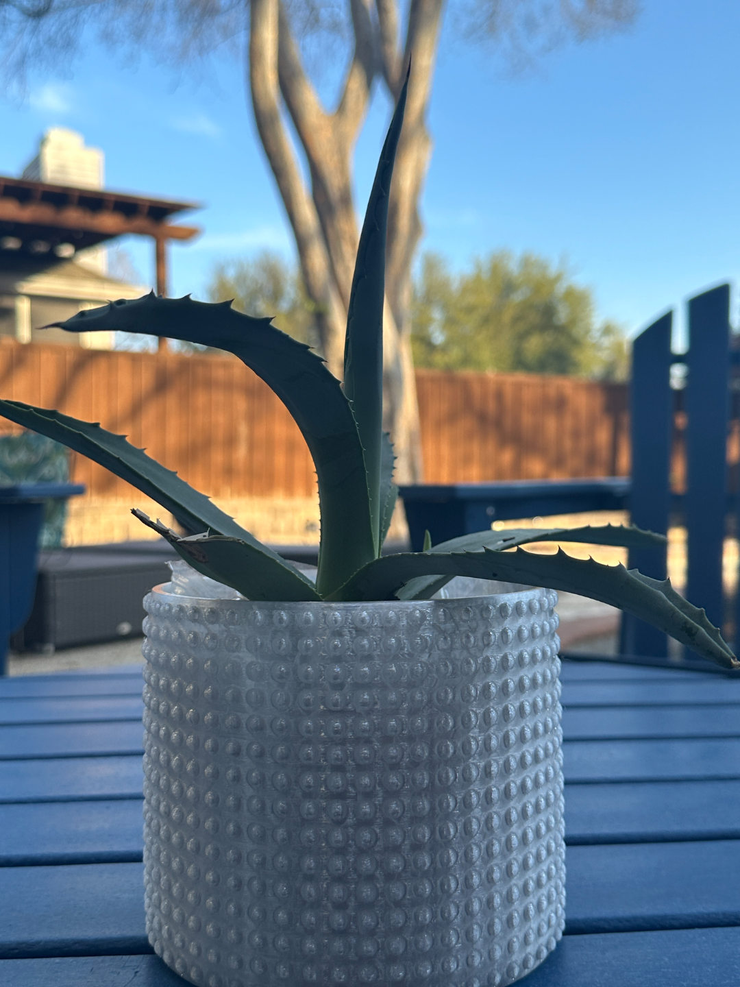 Bumpy planter v5