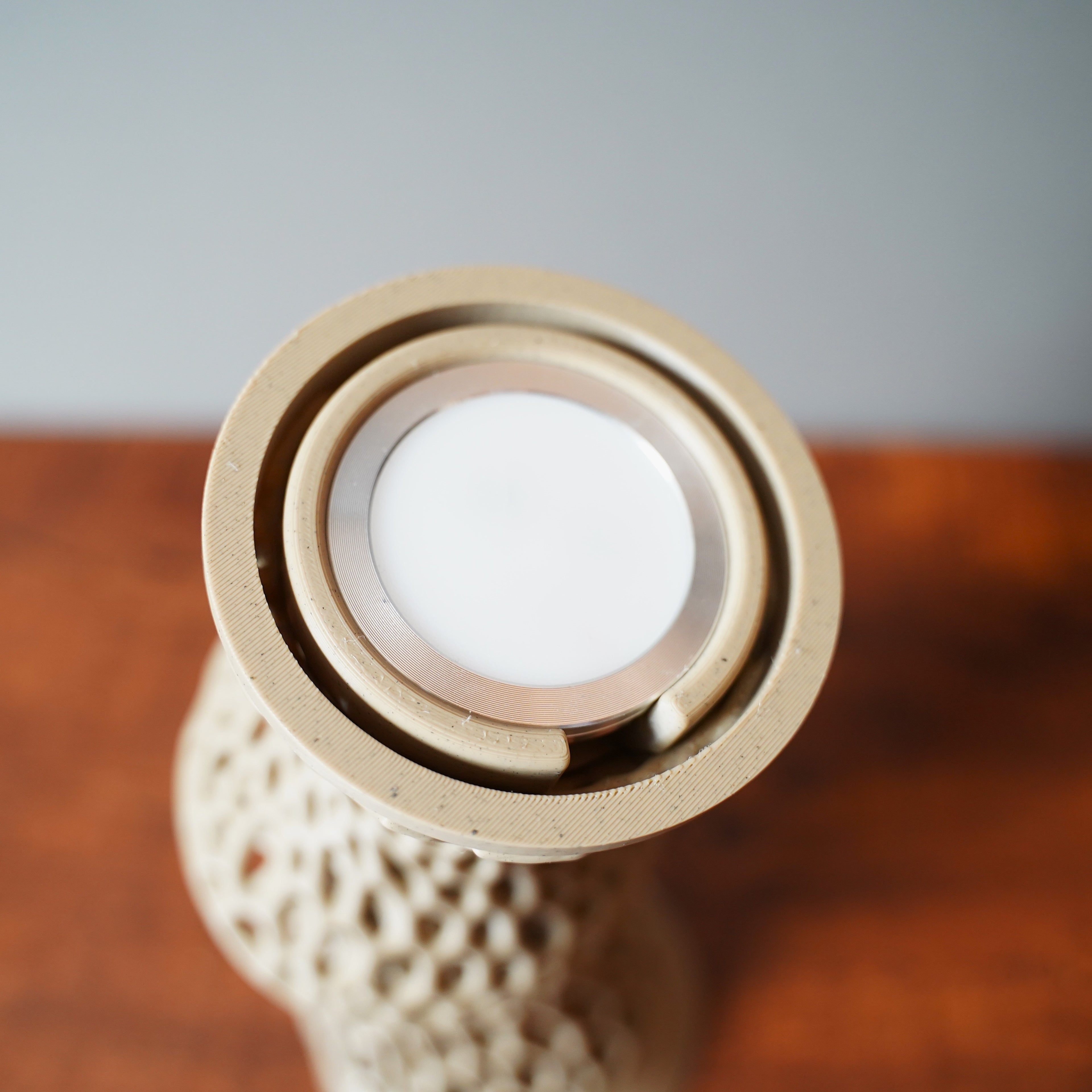 Voronoi Mushroom Lamp