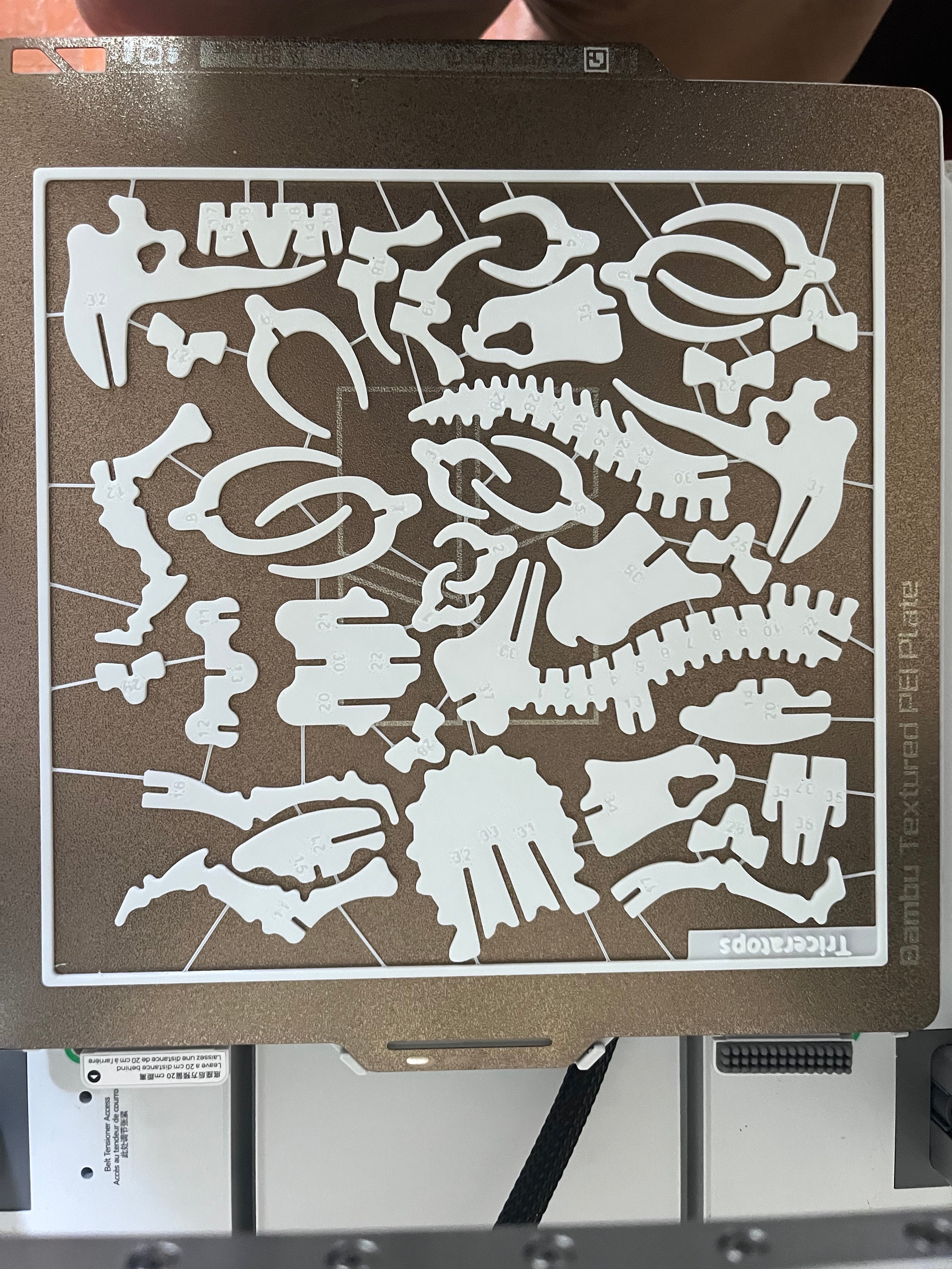 Triceratops Dinosaur Kit Card - DinoCards-CC BY-SA