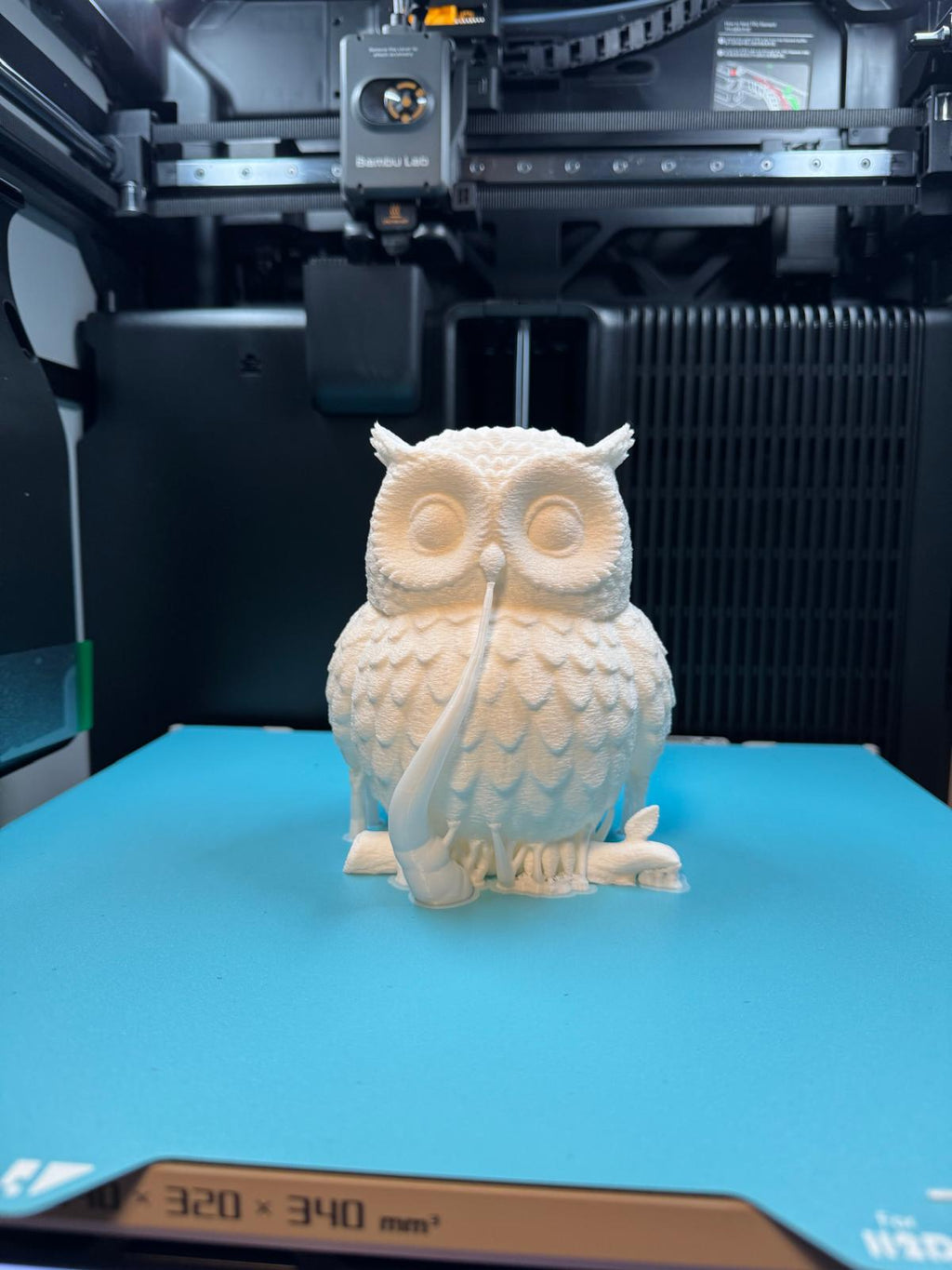 Owl LED