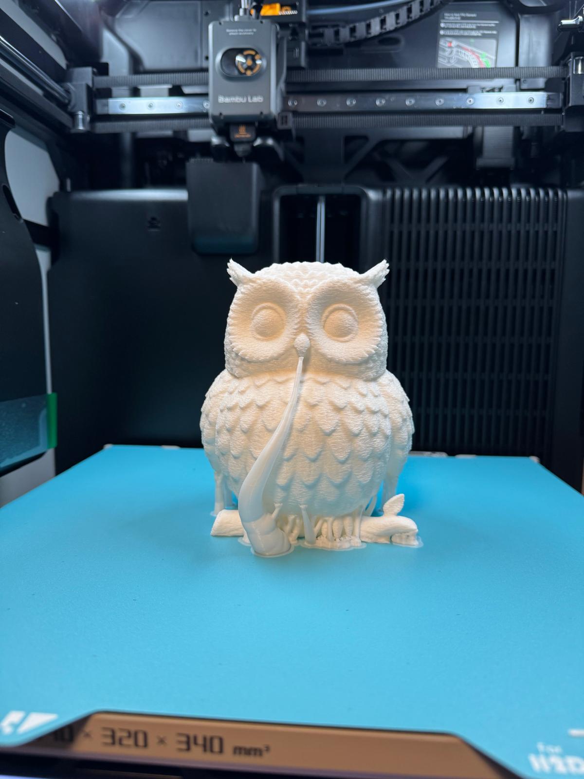 Owl LED