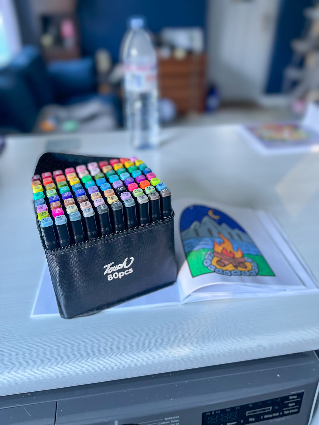 TikTok 80pcs Colouring Pen Divider