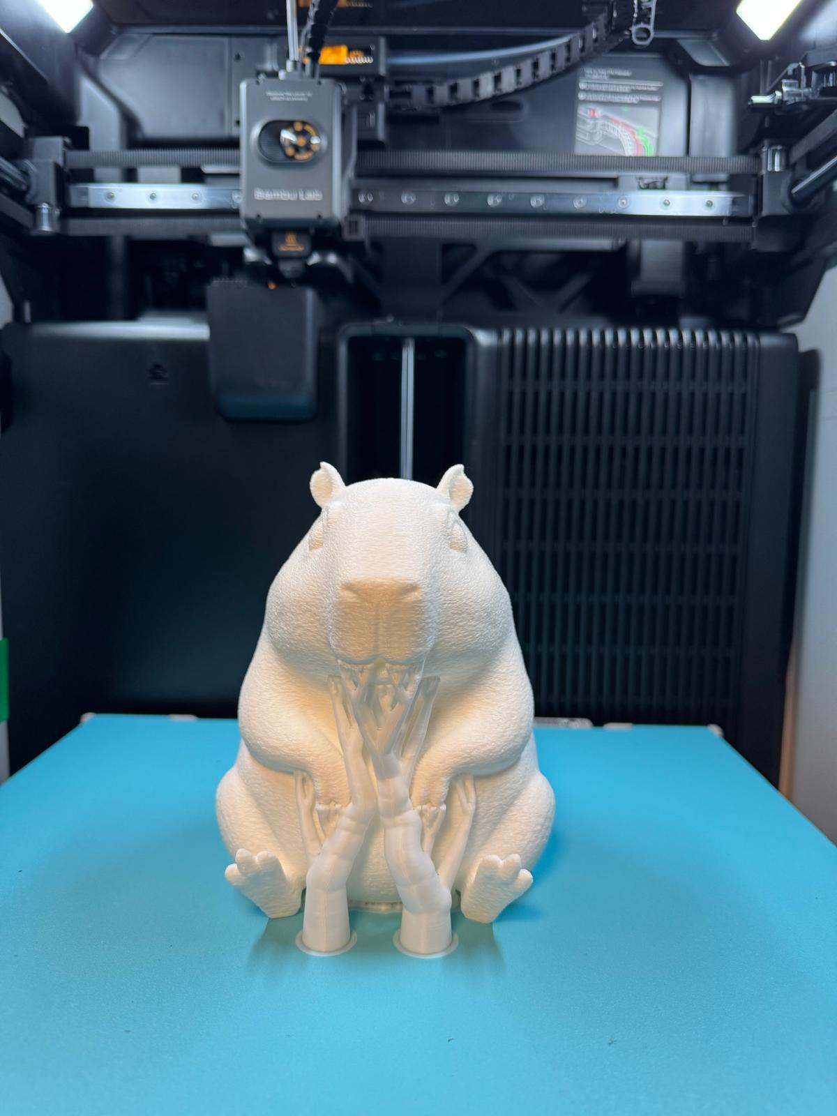Capybara LED