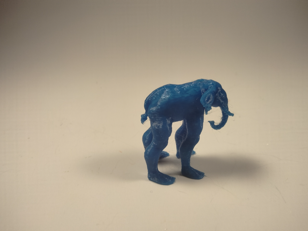 Handsome Elephant man