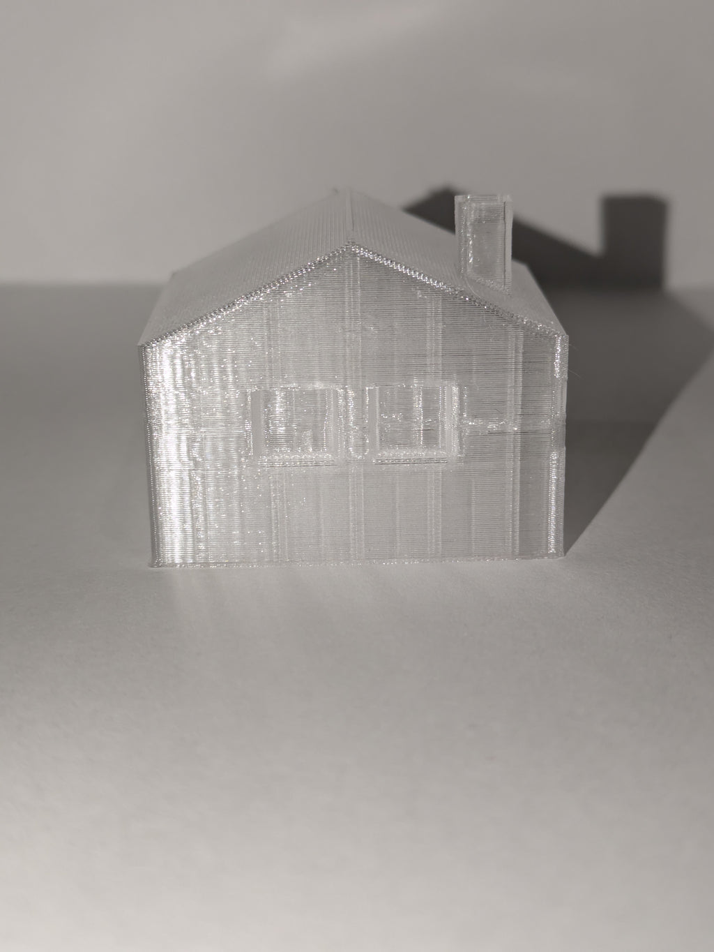 3D Homi