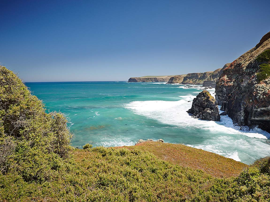 Mornington Peninsula Topographic Map