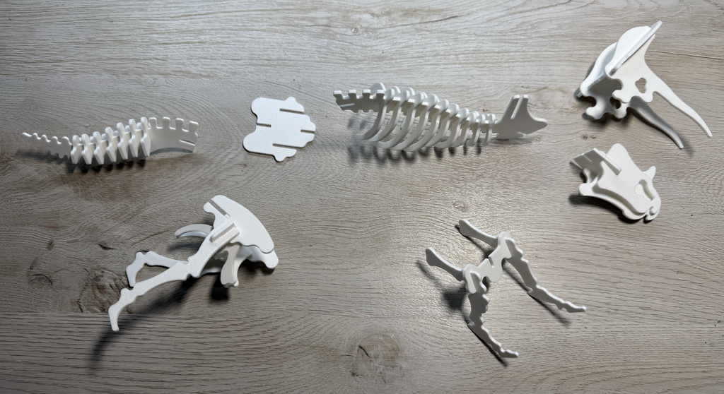 Triceratops Dinosaur Skeleton Puzzle