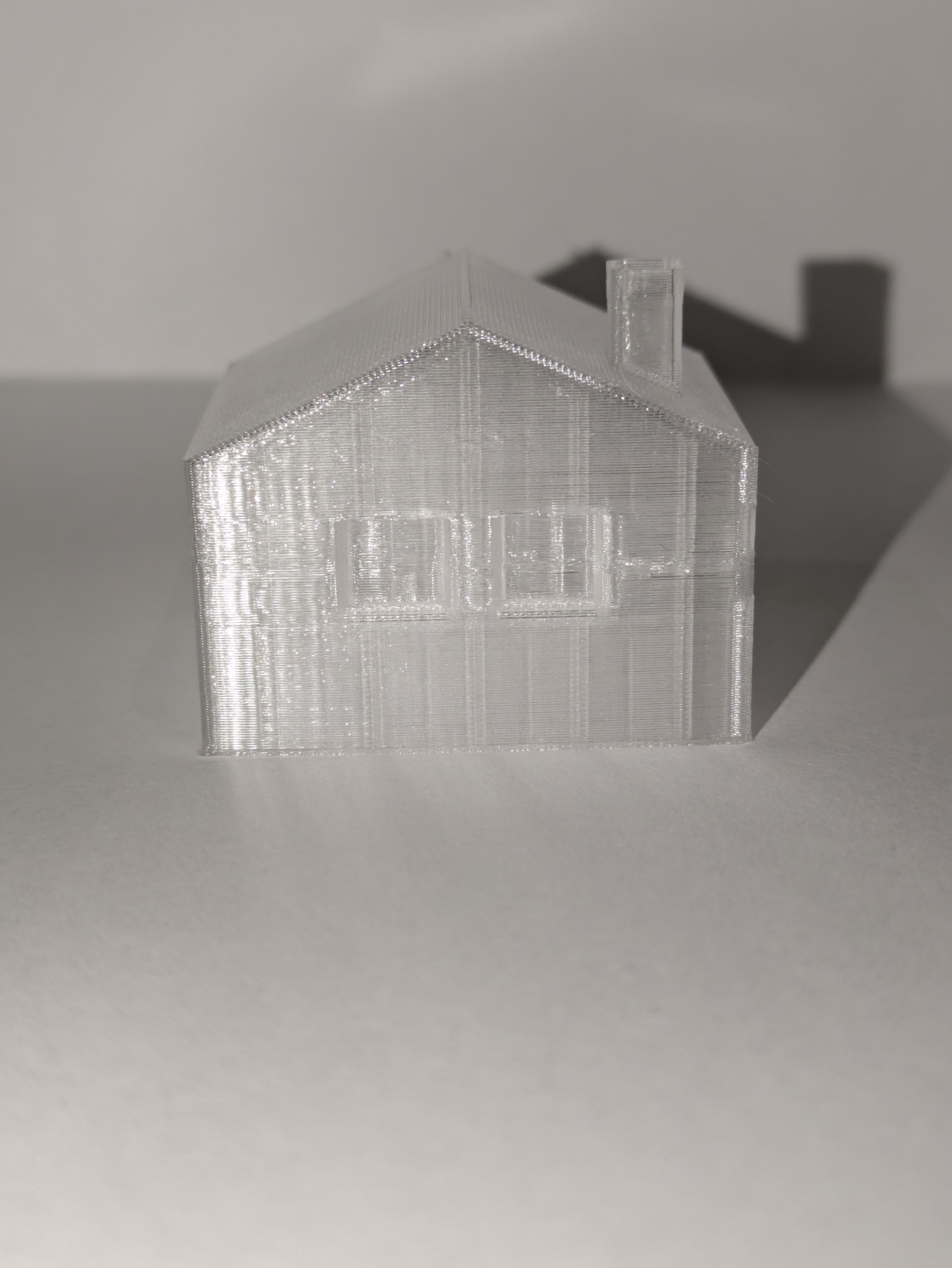 3D Homi
