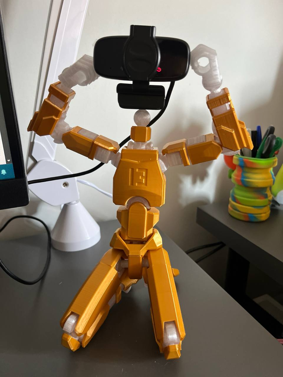 Dummy 13 Version 1.0, 256% scaled, webcam neck