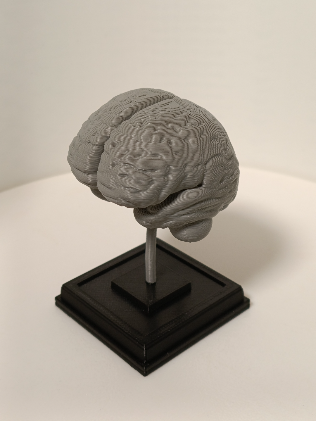 Brain on a stand