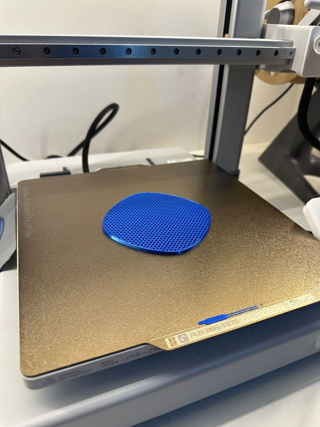 Customizable Coaster By Infill