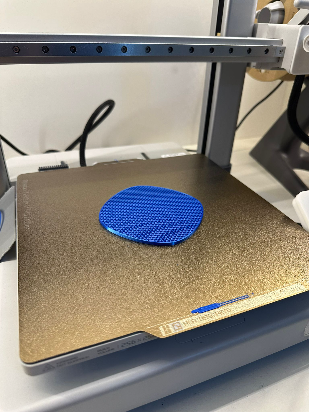 Customizable Coaster By Infill