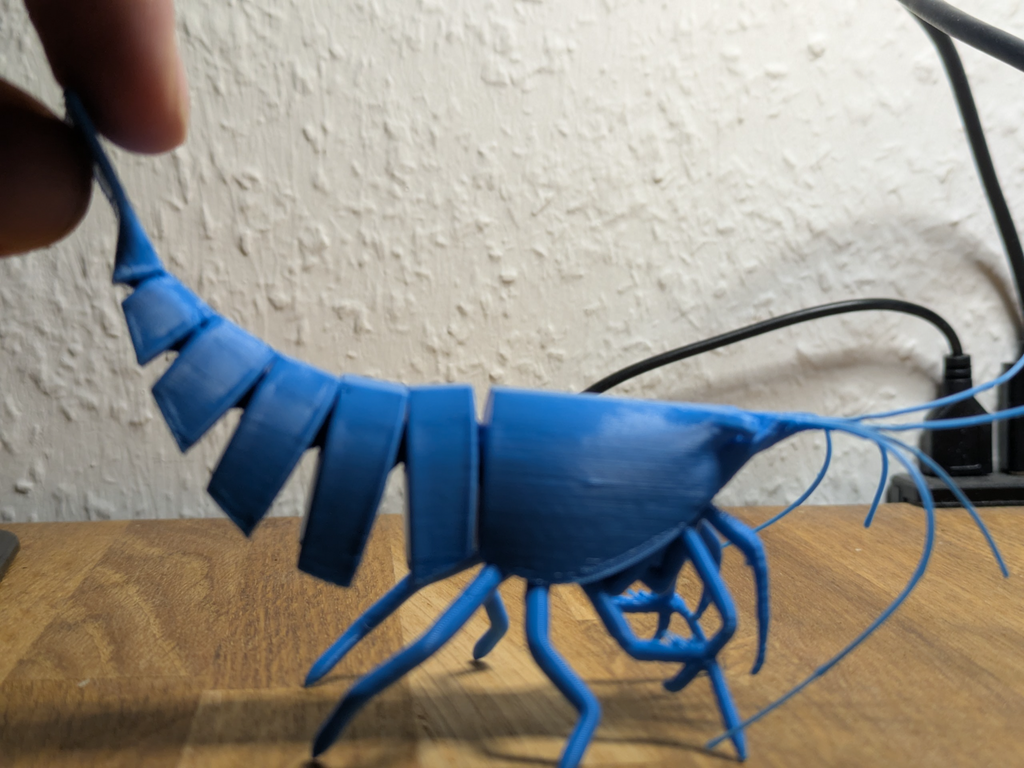 Articulated Shrimp