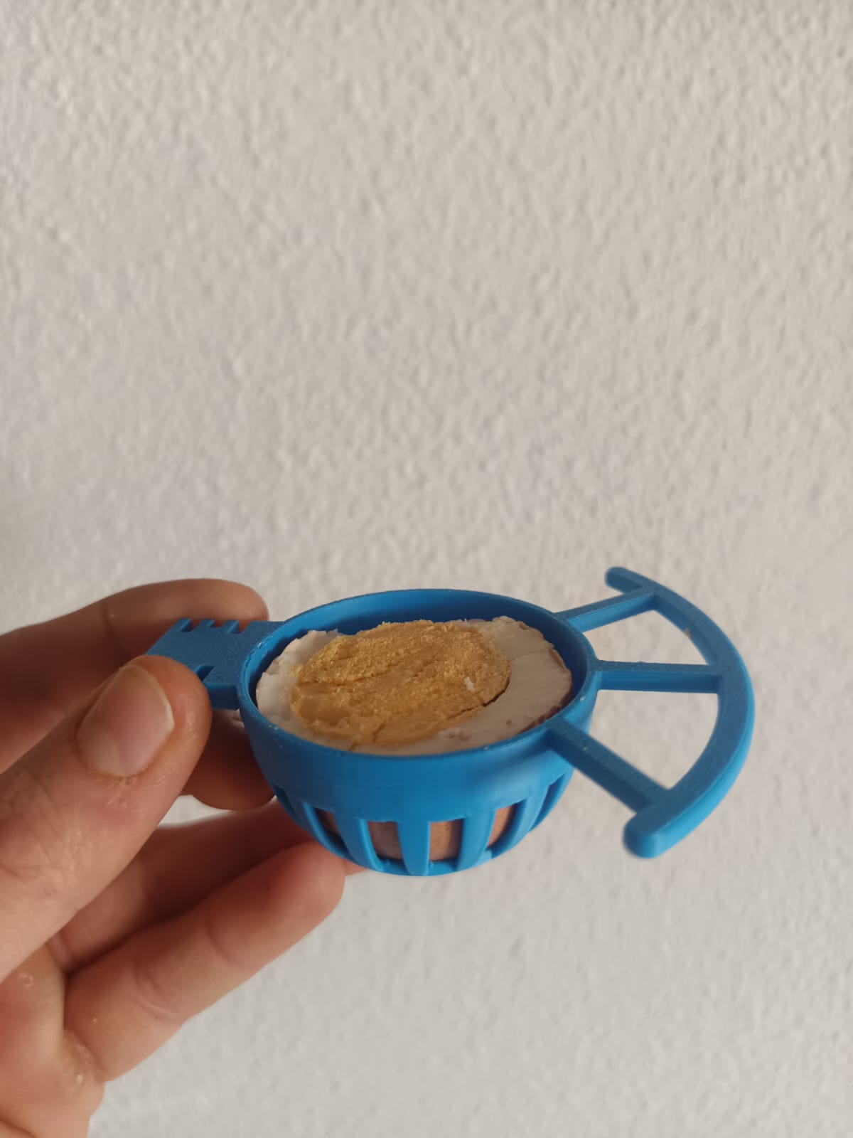 huevera para pajaros
