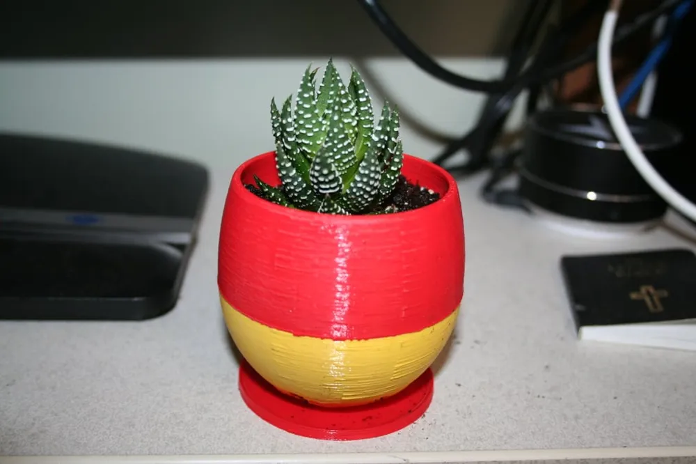Simple Small Succulent Planter