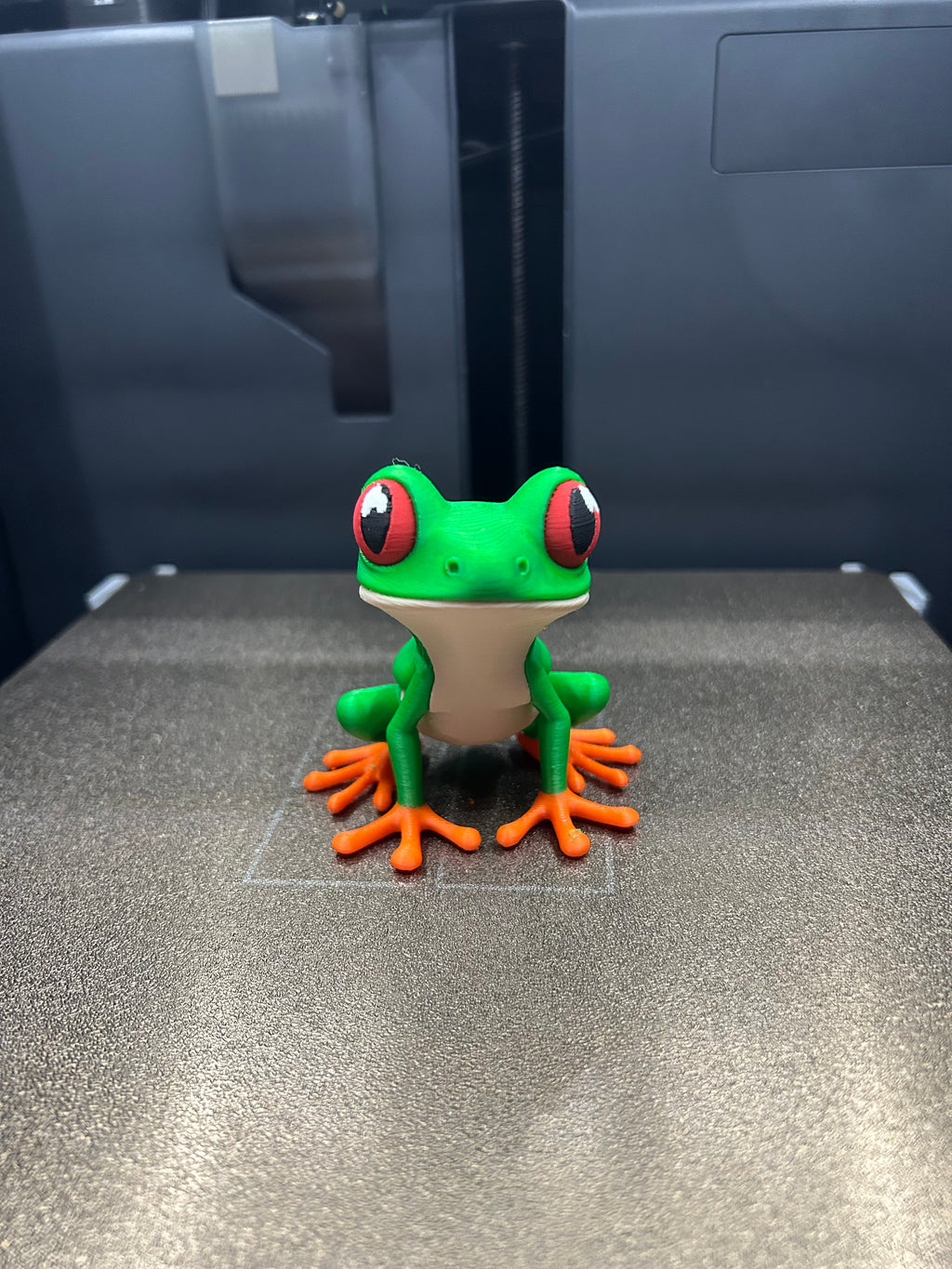 Frog - Happy Tree Frog