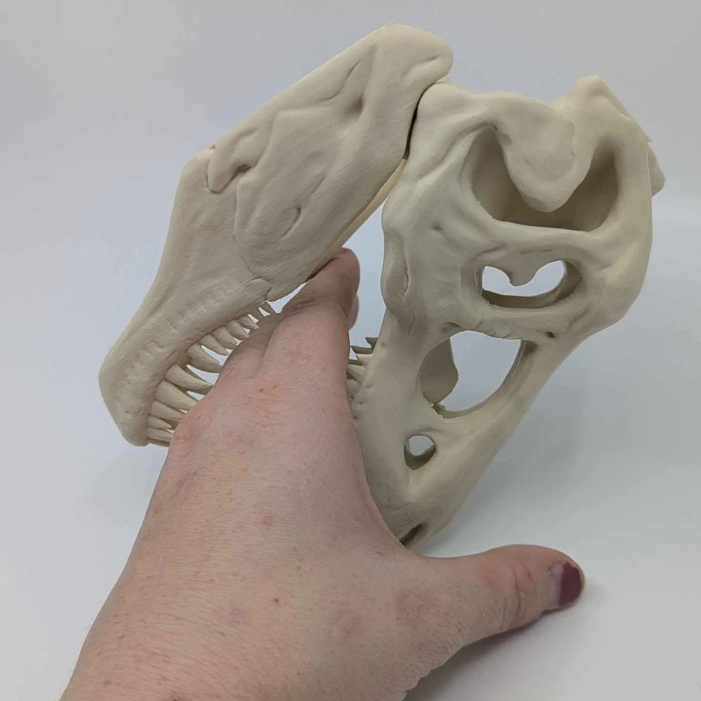 The T-Rex Skull Reptile, Arachnid, Snake Hide