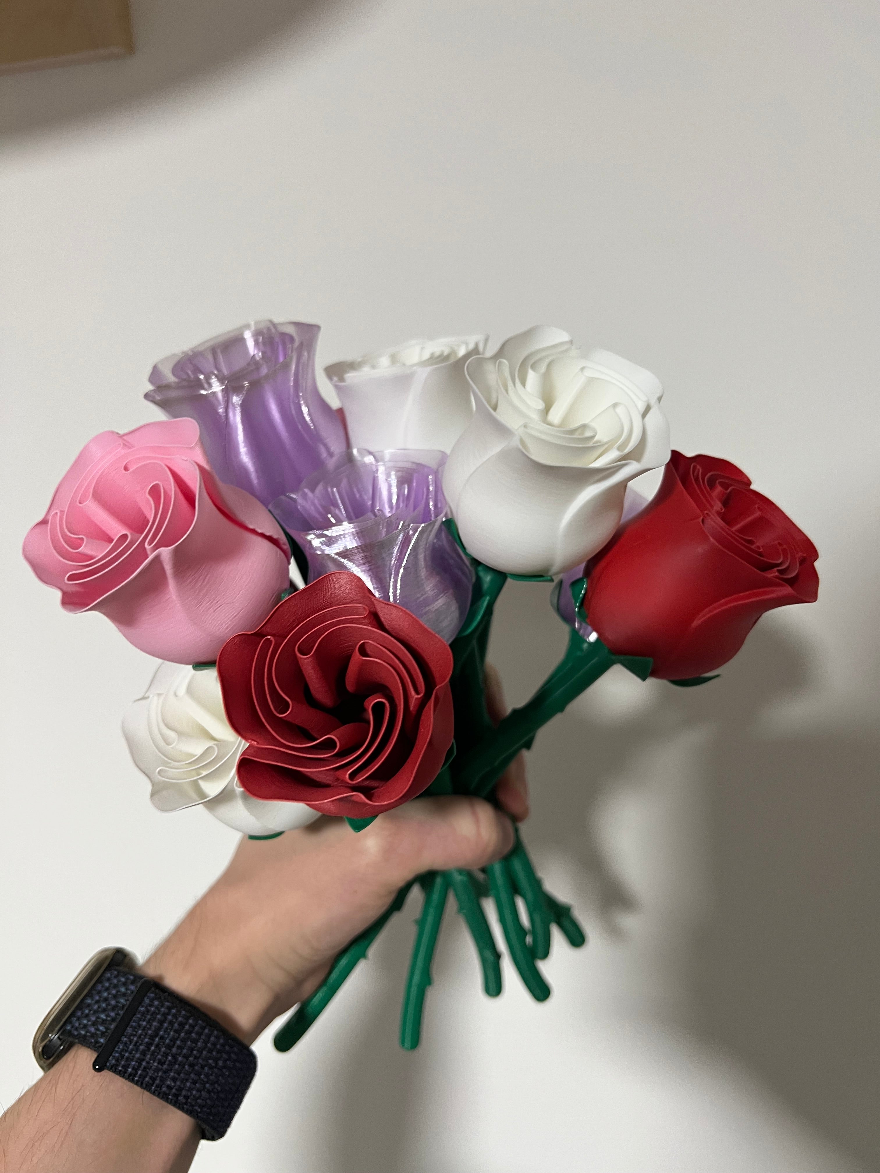 Beautiful Rose with Stem