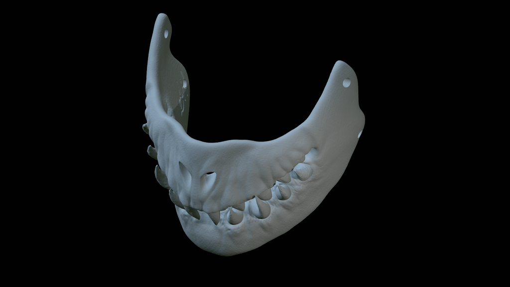 Devil Salamander mask