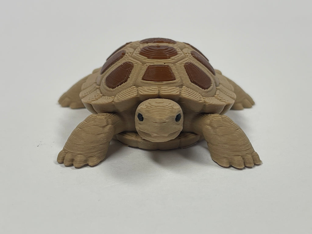 Fun Little Turtle