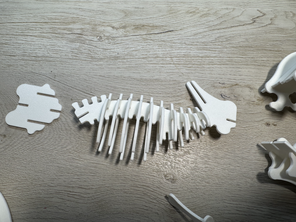 Triceratops Dinosaur Skeleton Puzzle