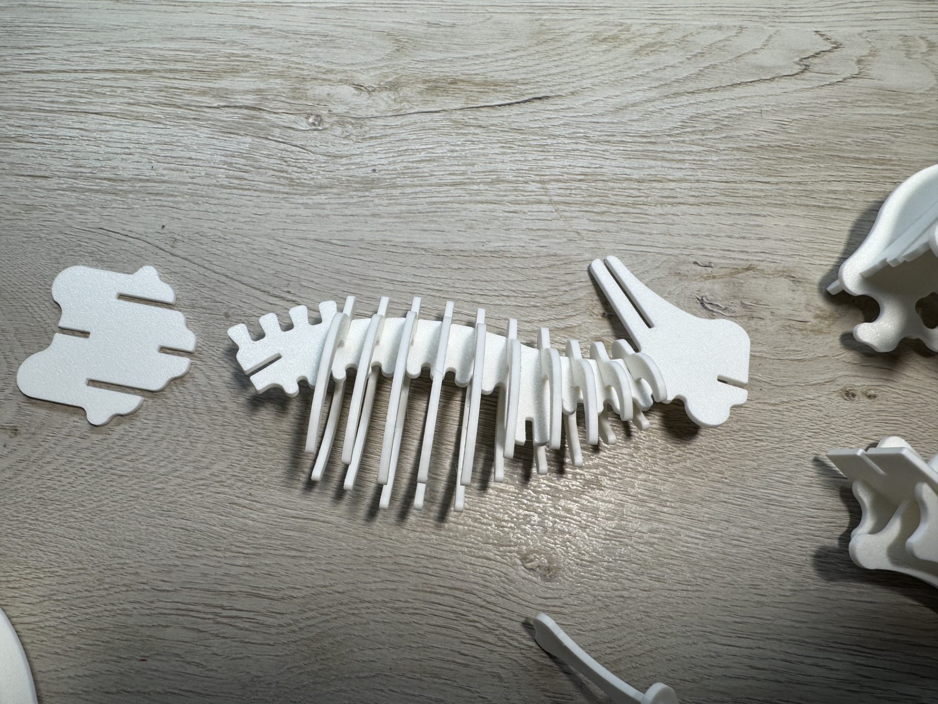 Triceratops Dinosaur Skeleton Puzzle