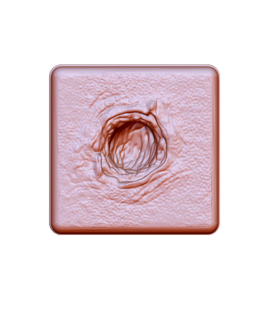 Silicone Wound Packing Trainer Mold - Bullet