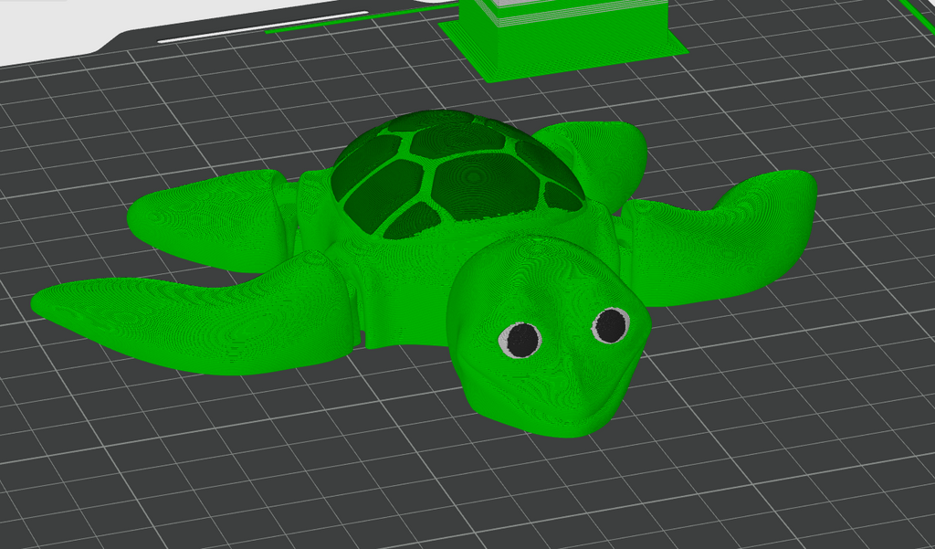Flexi Sea Turtle