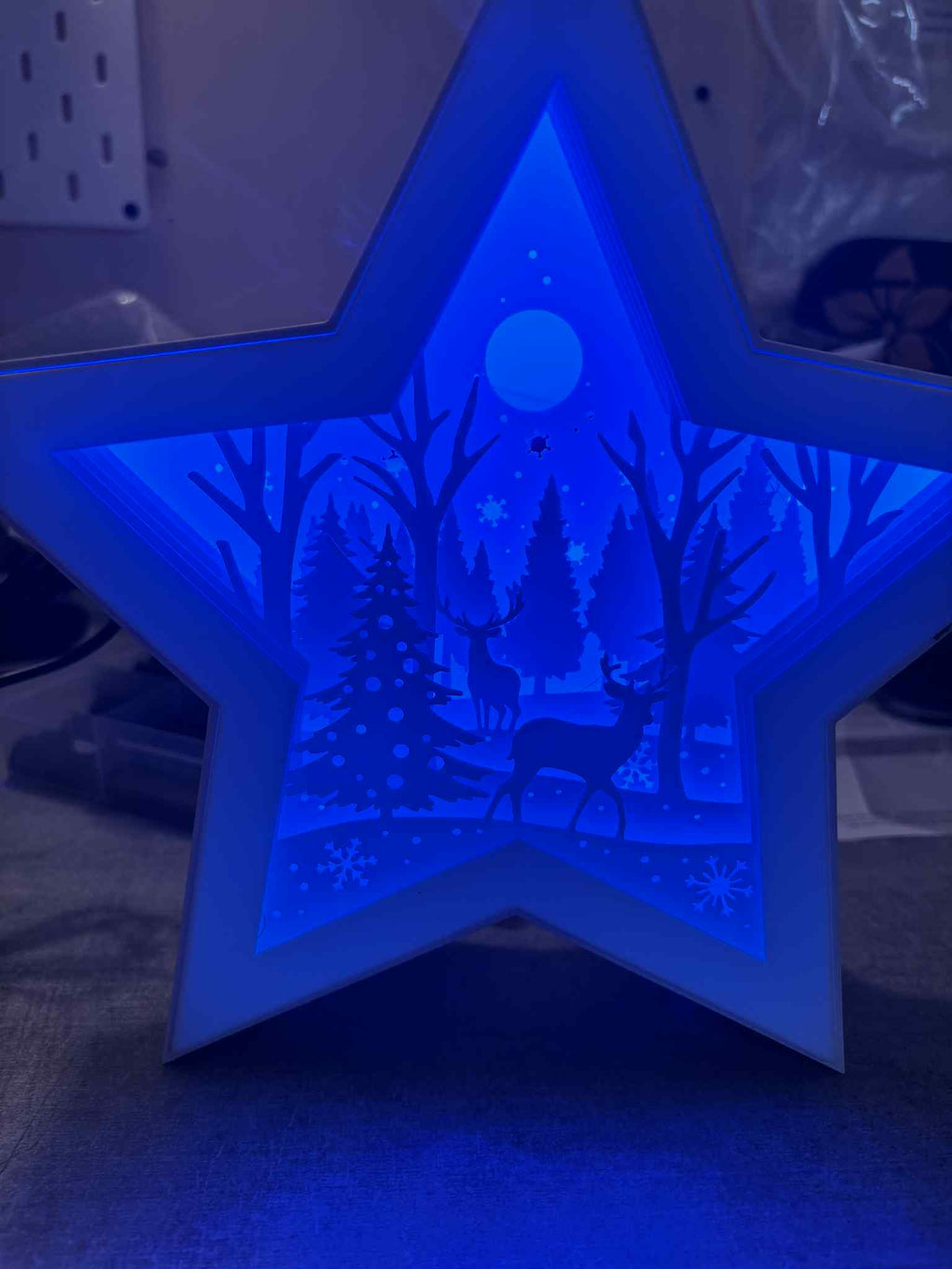 Etoile noël