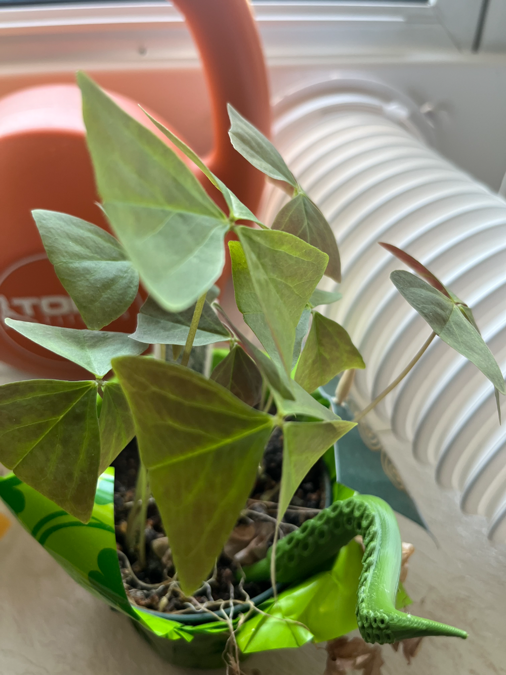 Octopus plant legs accessories