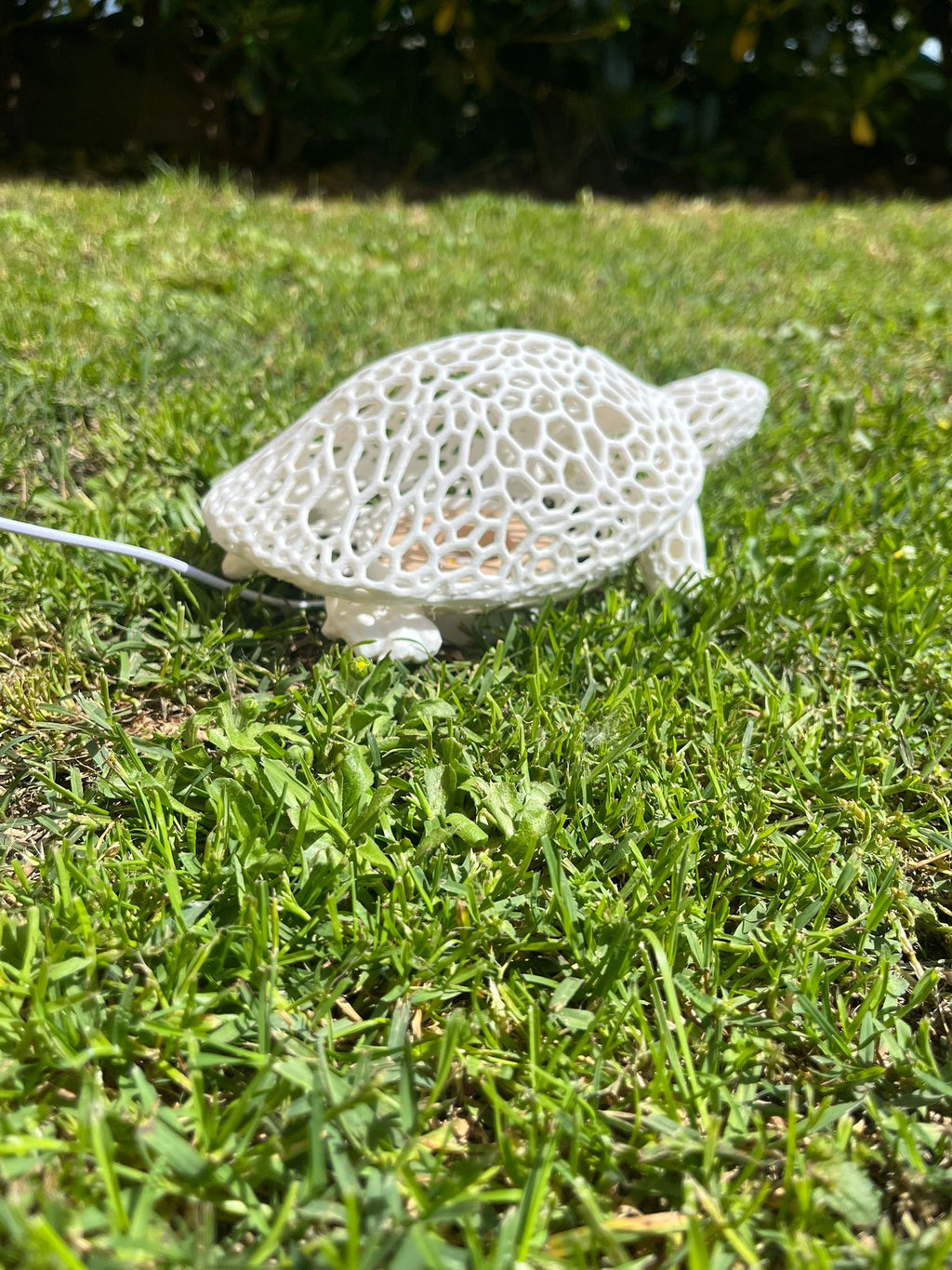 Lampada a forma di tartaruga