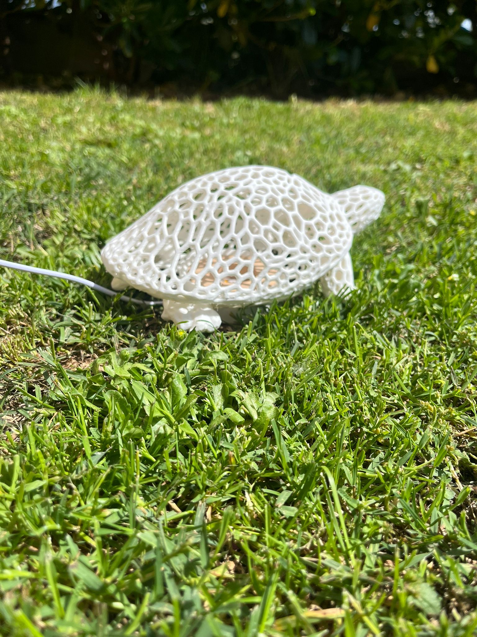 Lampada a forma di tartaruga