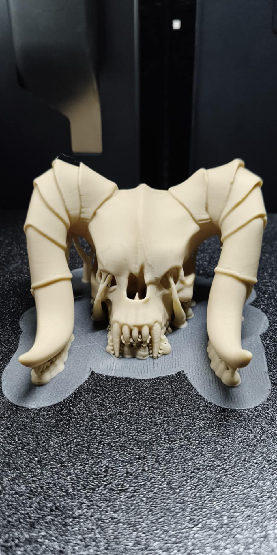 Death Claw Skull