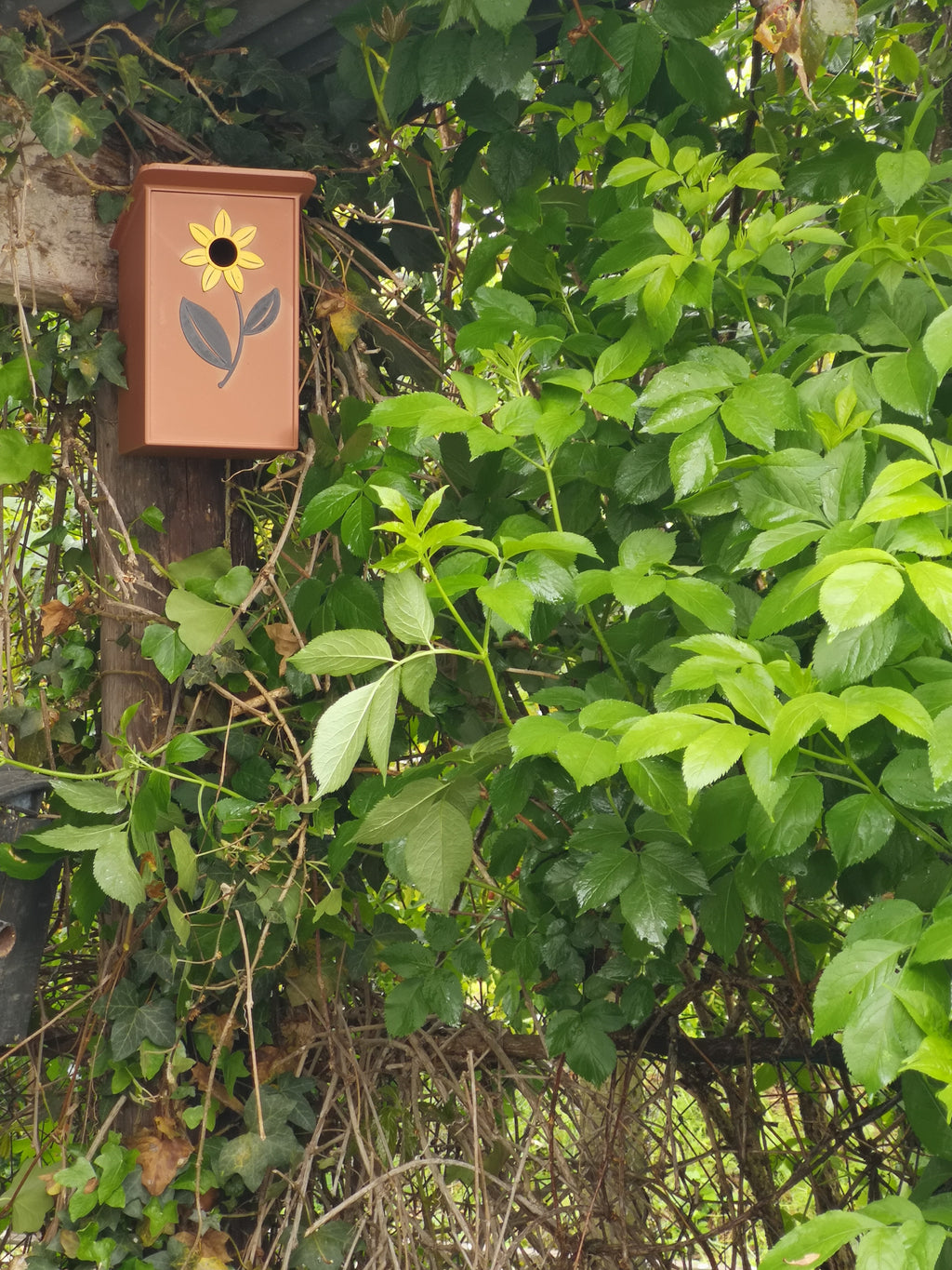 Specific birdhouses for tits and redstarts