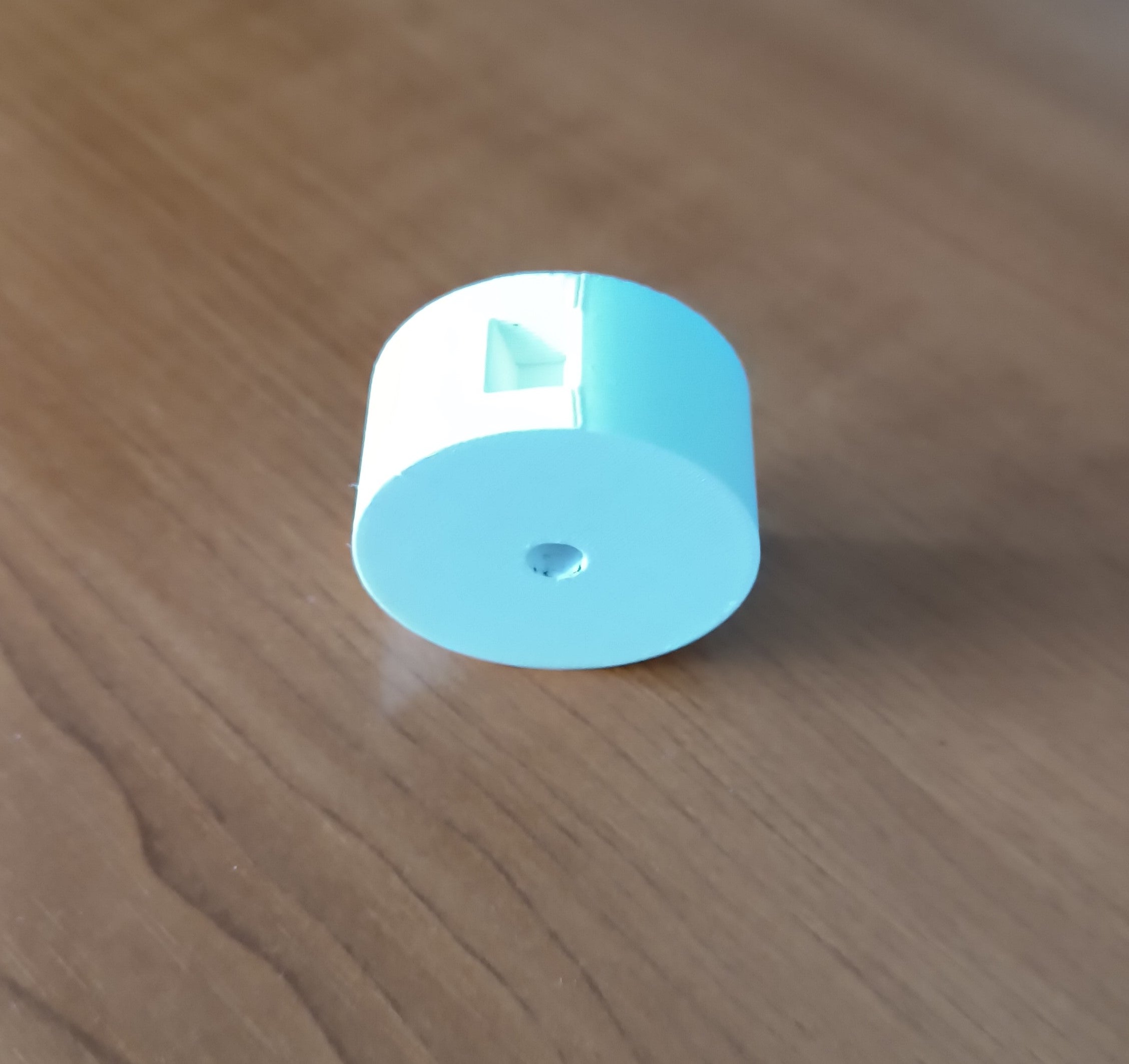 Automatic fish feeder