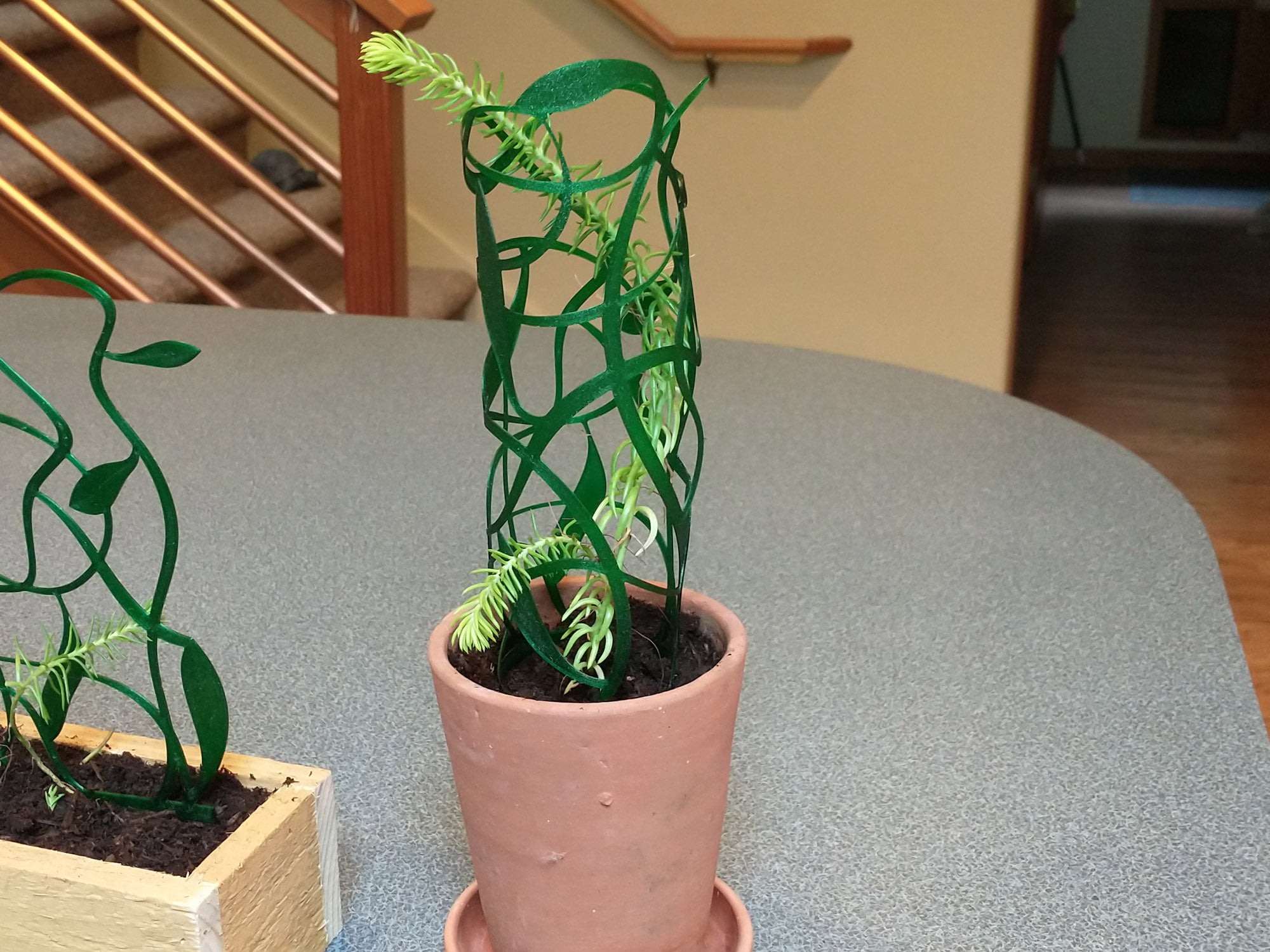 Tangled Vine Trellis