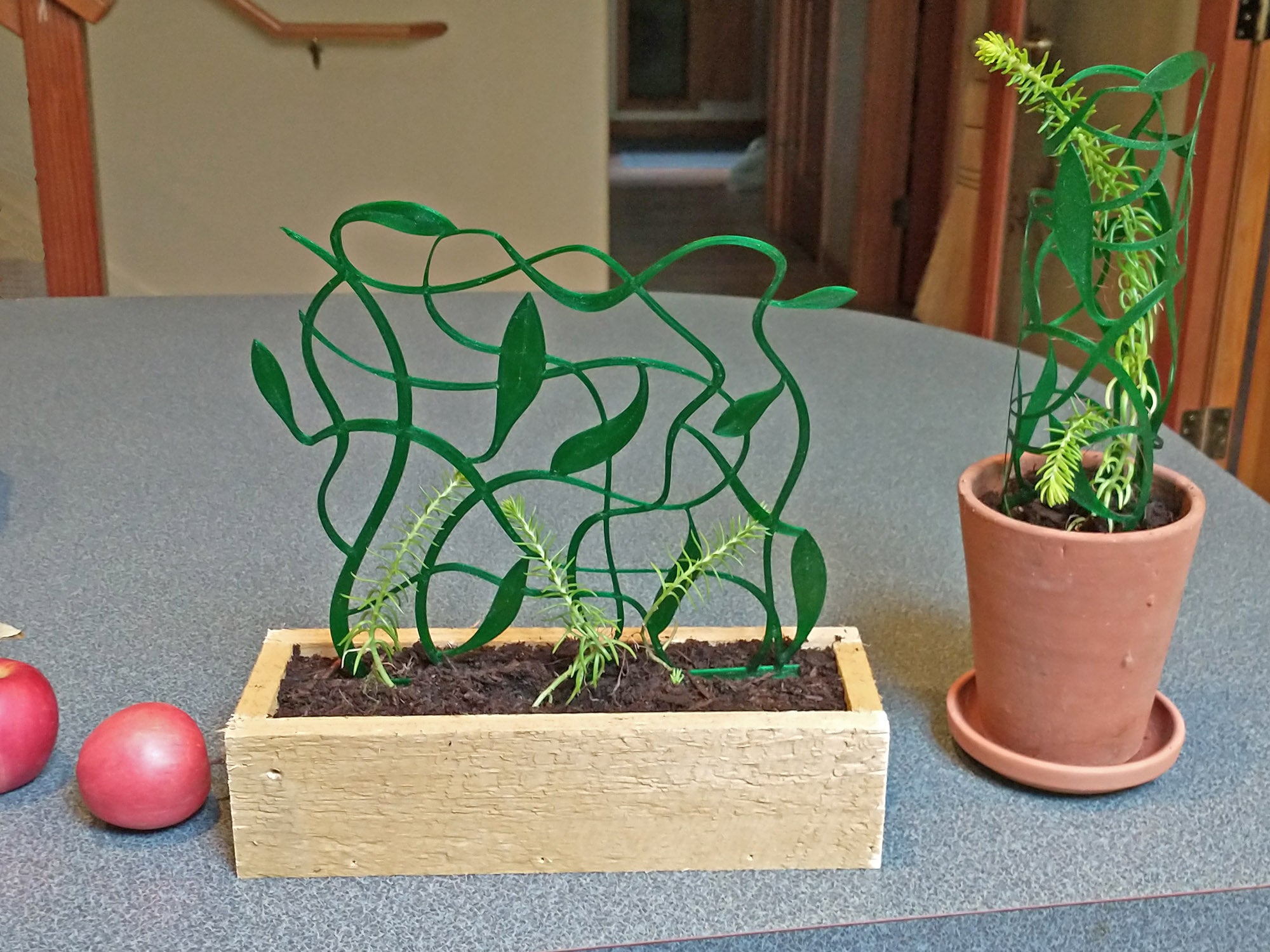Tangled Vine Trellis