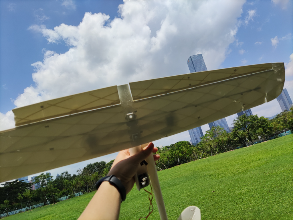 Breeze Model G [1 Meter SUB250 RC Glider]