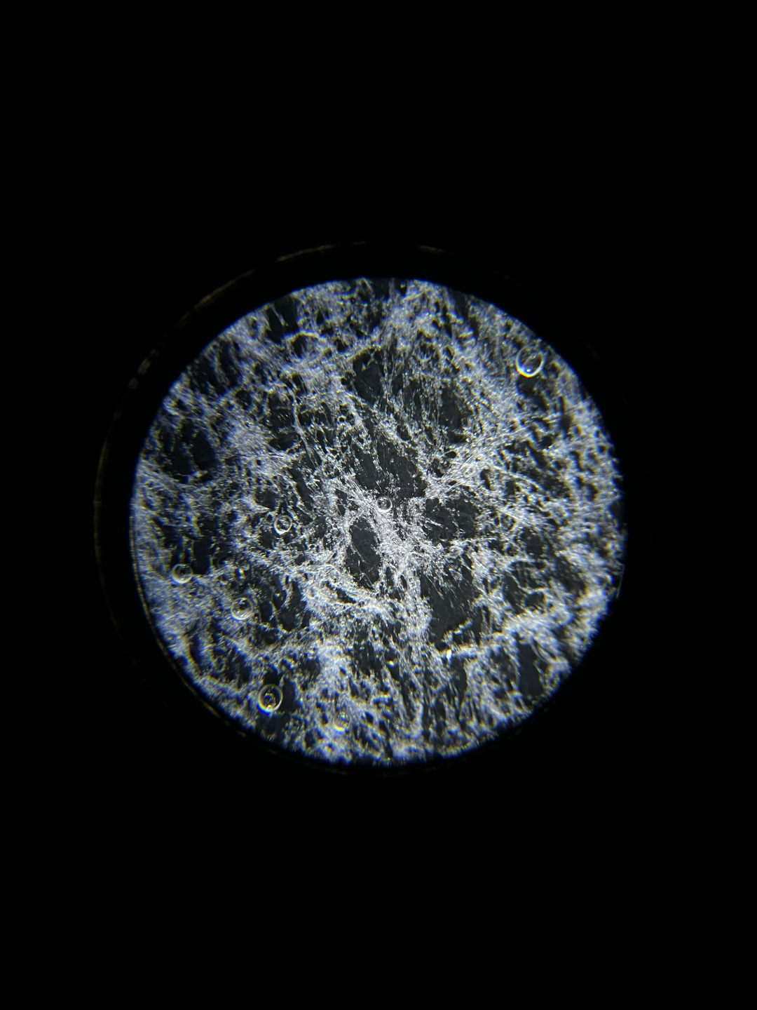 Microscope Phone Camera Adapter