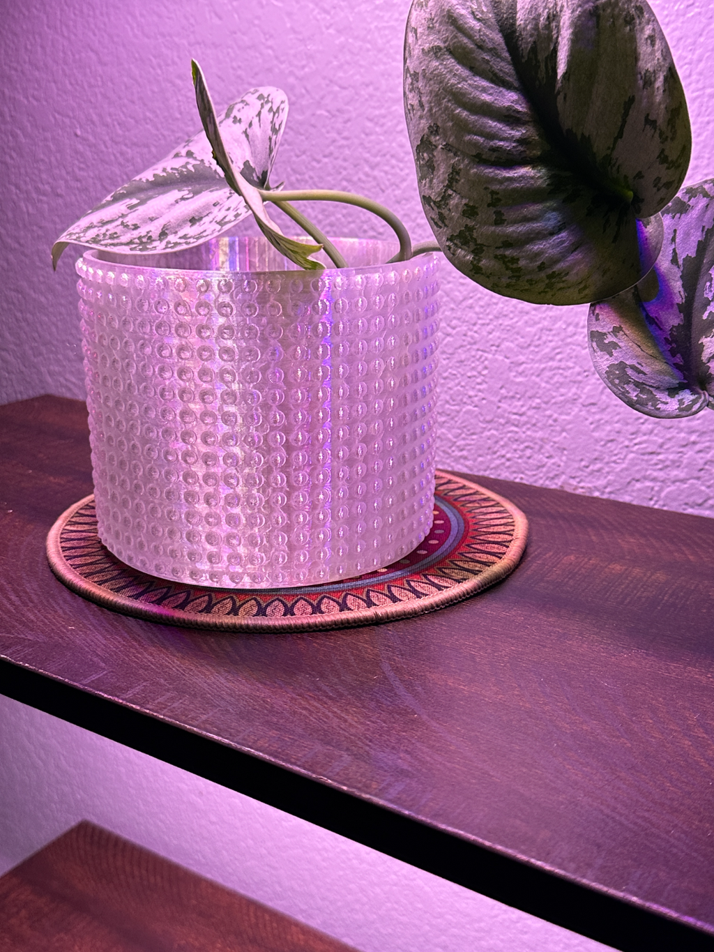 Bumpy planter v5