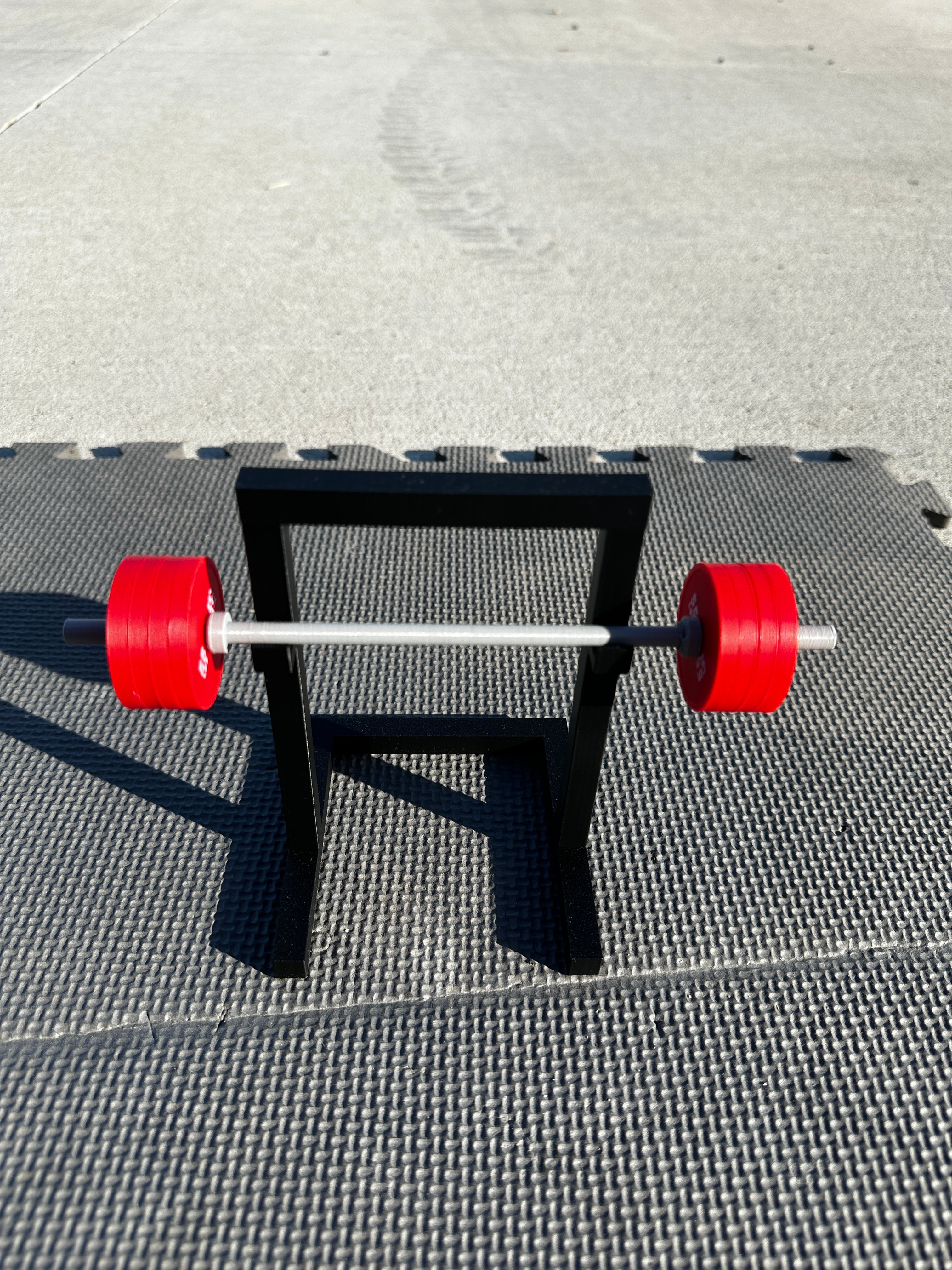 Mini Gym - Show PR's