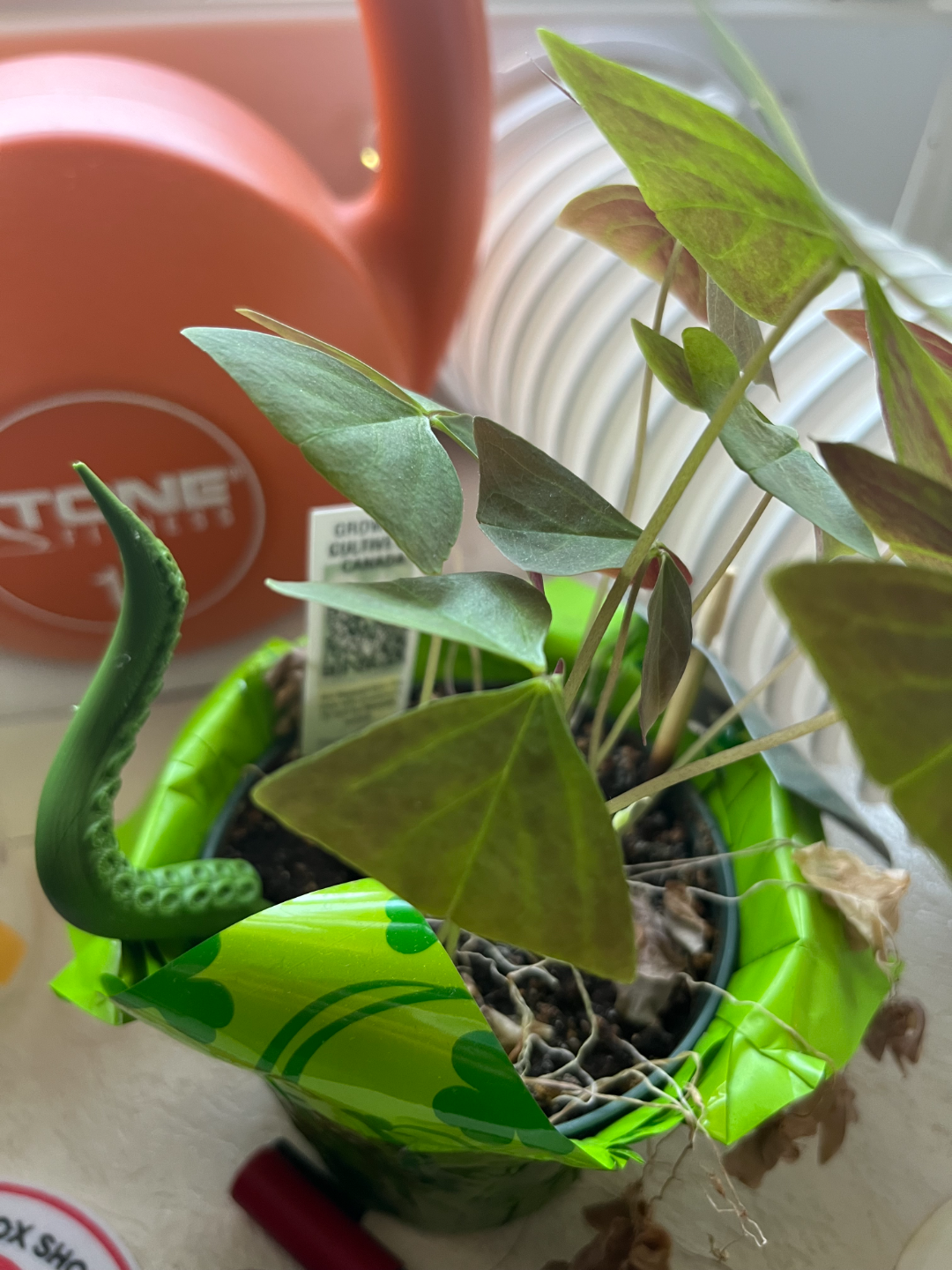 Octopus plant legs accessories