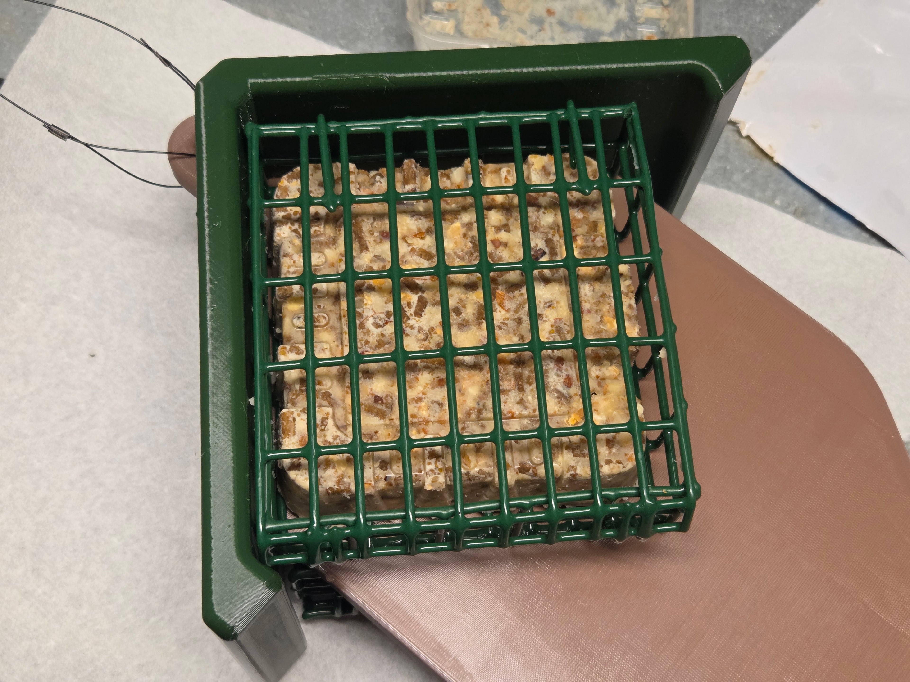 Double Suet Tail-Prop Feeder Great for Woodpeckers
