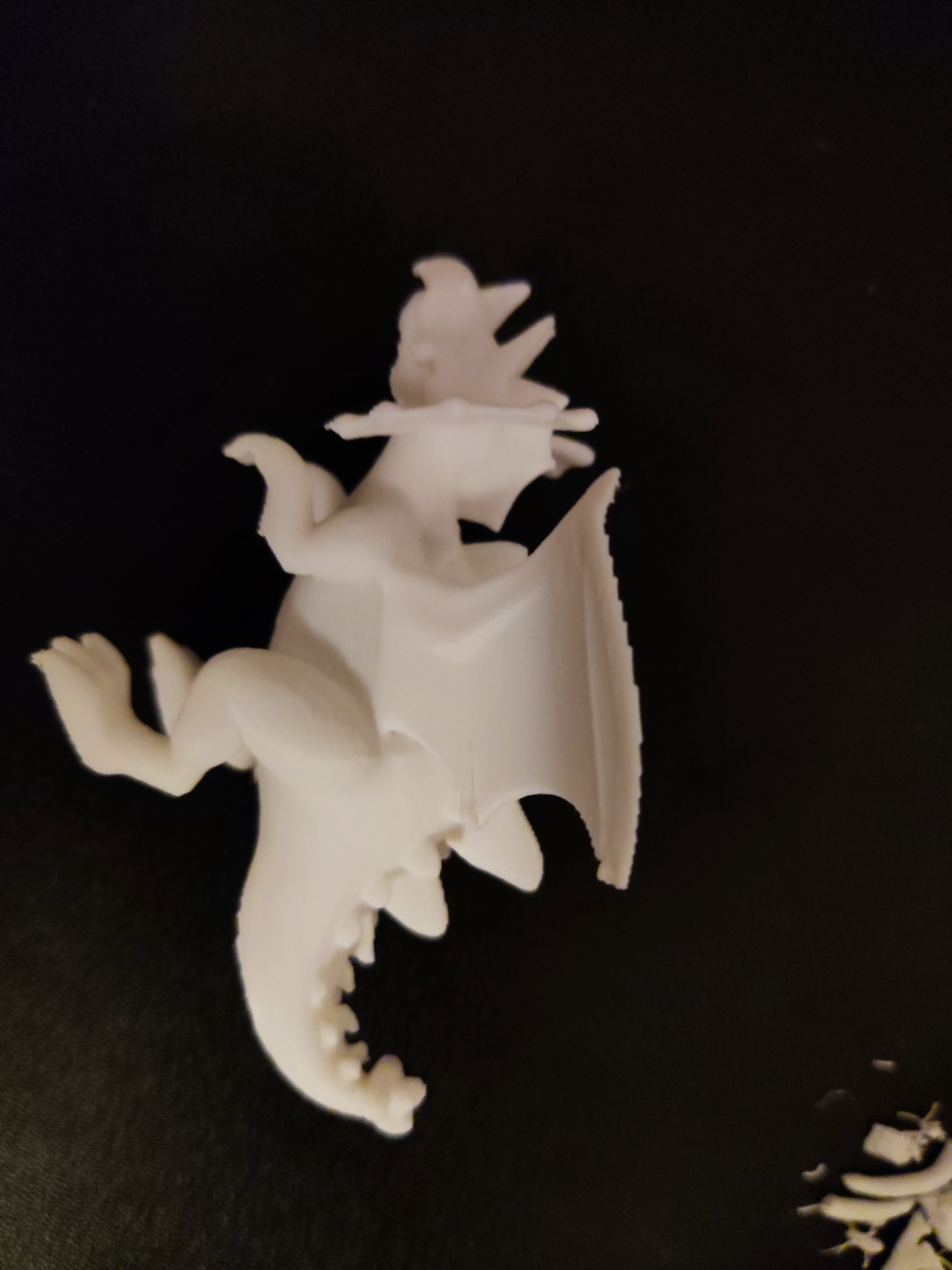 Meshysaurus and Triposaurus
