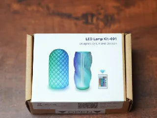 Voronoi Mushroom Lamp